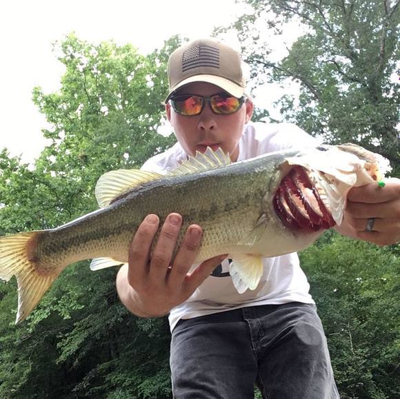 Meet your Posher, Jackson - Picture 1 of 1